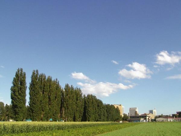 Sapporo Clark Hotel Eksteriør bilde